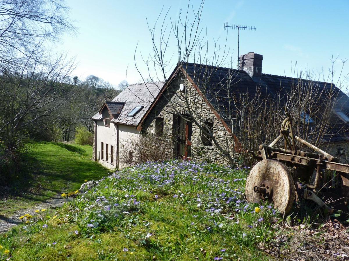 Ceridwen Holiday Homes Llandysul Exterior foto